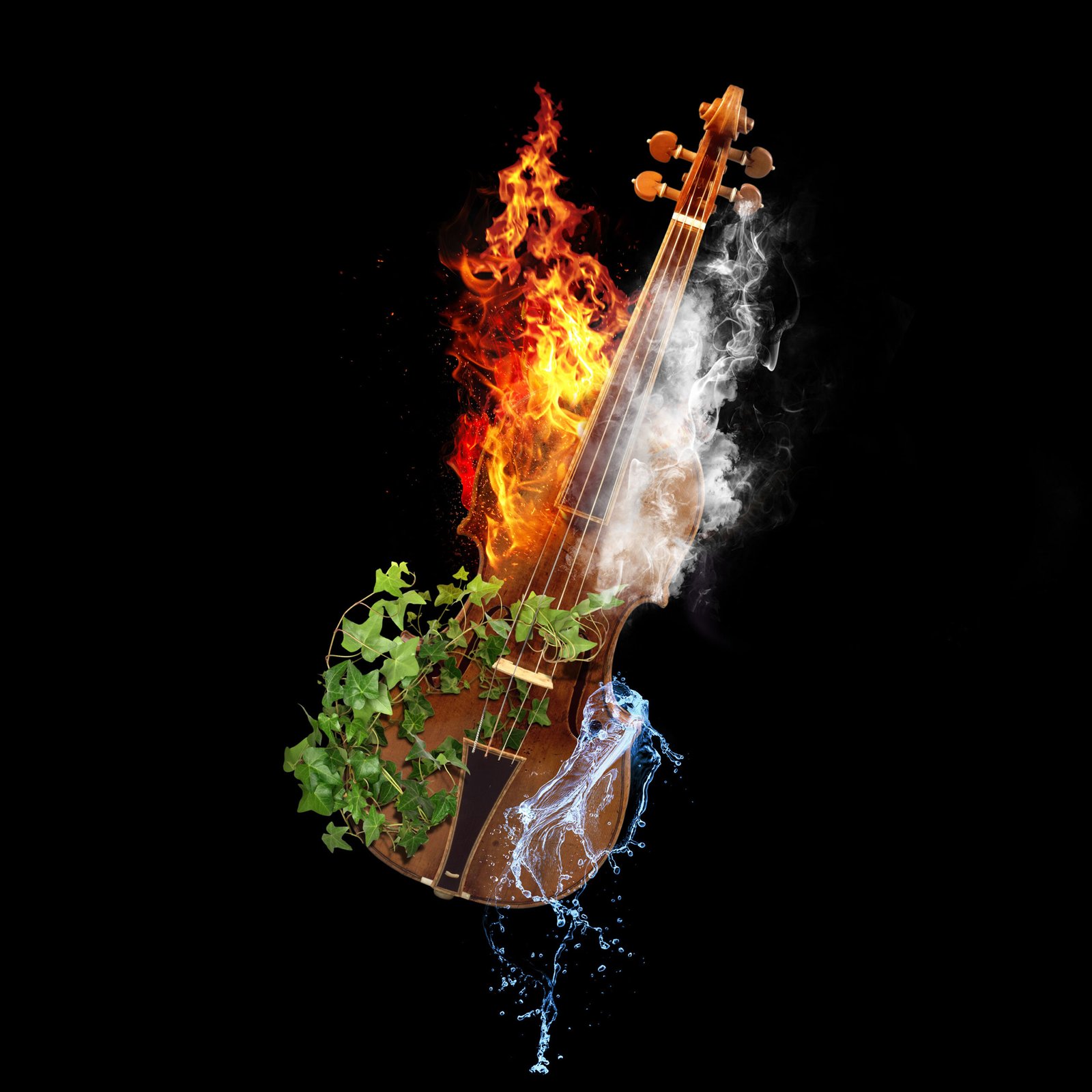 Violin engulfed in fire, water, wind and leaves